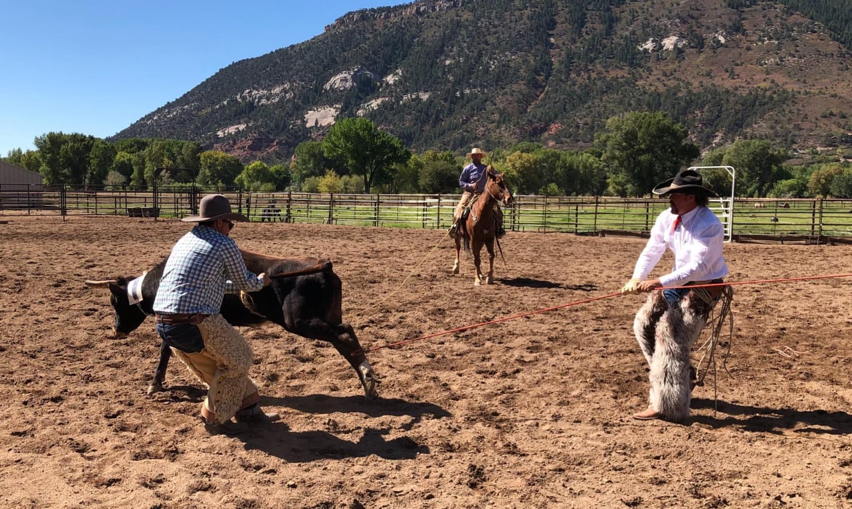 2018 Roping